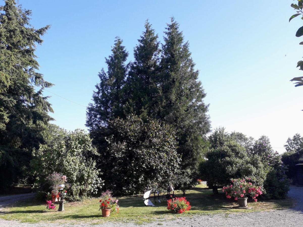 La Ferme Des Tertres Bed and Breakfast La Chapelle-pres-Sees Buitenkant foto